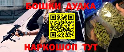 прущие грибы Шелехов