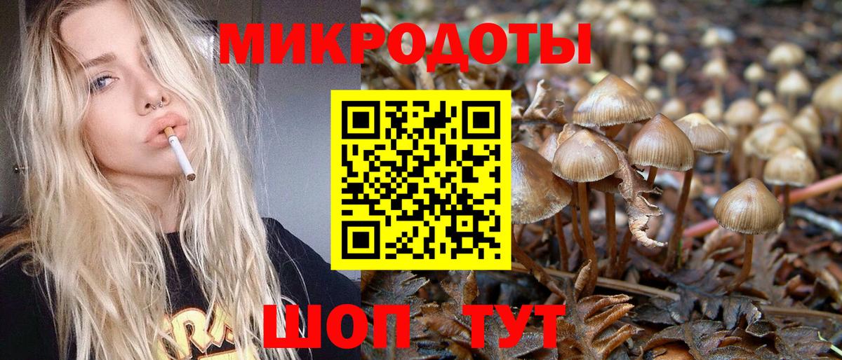 Псилоцибиновые грибы Psilocybine cubensis Магнитогорск