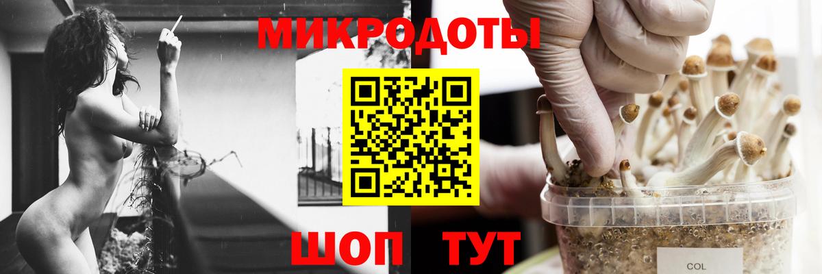 Галлюциногенные грибы GOLDEN TEACHER  Вход с VPN  Магнитогорск 